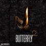 Butterfly 2 (Explicit)