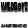 Wildboyz (feat. Jojo Mars & MK3)