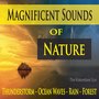 Magnificent Sounds of Nature (Thunderstorm, Ocean Waves, Rain & Forest)
