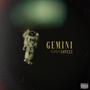 GEMINI (Explicit)