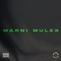 Marni Mules (Explicit)