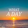 What A Day
