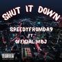 Shut it Down (Explicit)