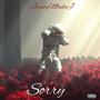 Sorry (Explicit)