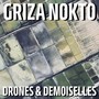 Drones e Demoiselles