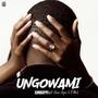 Ungowami (feat. Junior Jayrio & Pollen)