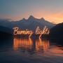 Burning Lights (Radio Edit) [Explicit]