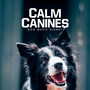 Calm Canines