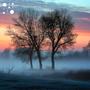 Misty Dawn Harmony