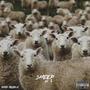 SHEEP Pt. 2 (Explicit)