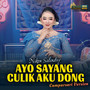 Ayo Sayang Culik Aku Dong