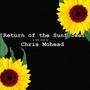 Return of the Sunflower