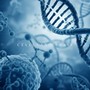 Cellular Repair: Healing Vibrations for Restoration of Tissue and Energy Fields