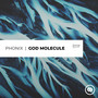 Phonix - God Molecule