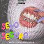 Sexo Seguro (feat. Role B, Neko & Astrom) [Explicit]