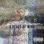 A Peace Of Mind (Explicit)