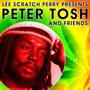 Lee Scratch Perry Presents Peter Tosh & Friends