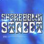 Shakedown Street (feat. Christopher Vause) [Explicit]