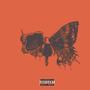 Dead Butterflies (Explicit)