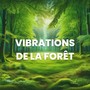 Vibrations de la forêt: Des sons calmes de la nature pour un esprit et un corps détendus