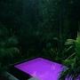 purple pool