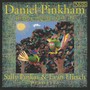 PINKHAM, D.: Piano Music, Vol. 2 (Pinkas, Hirsch)