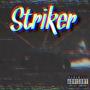 Striker (feat. Recklezz)