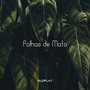 Folhas de Mato