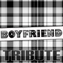 Boyfriend (Justin Bieber Tribute)