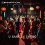 U Bang In Swing