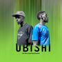 Ubishi