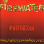 Firewater