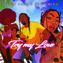 Try My Love (Remix)