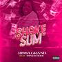 Shake Sum (feat. ASN JAYBOOG) [Explicit]