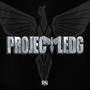 Project Ledg