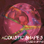 Acoustic Shapes