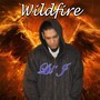 Wildfire