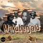 Makubenjalo (feat. Ex_Plosive, Bhinc'elihle, Mr Wish & SickBoiNeezi)