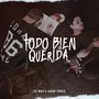 Todo Bien Querida (feat. Aaron Torres)