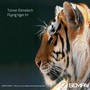 Flying Tiger EP