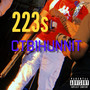 223s (Explicit)