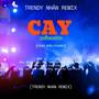 Mưa ơi rơi làm chi..Mưa đừng trêu tôi nữa để tôi một mình.. (Cay Remix)
