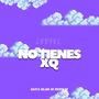 NO TIENES XQ
