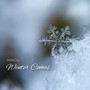 Winter Comes (Instrumental Version)