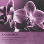 An Orchid