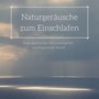 Naturgeräusche zum Einschlafen: Regengeräusche, Meeresrauschen und Regenwald Sound