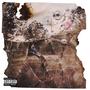 Rectangle Market (Explicit)