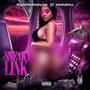 Sneaky Link (feat. Bam DaDoll) [Explicit]