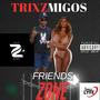 Friends Zone (Explicit)