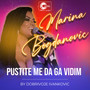 Pustite me da ga vidim (Cover)